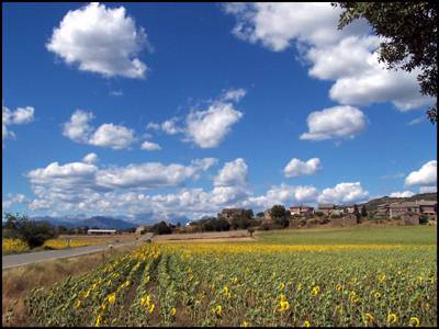 Photografy of Arcusa