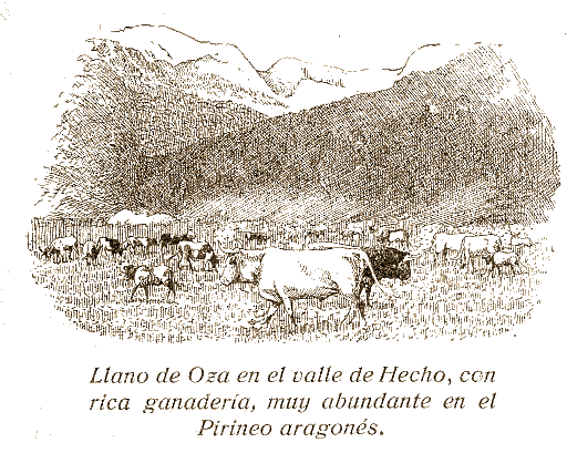 Llanos de Oza (Valle de Hecho) con ganadería Llanos de Oza con ganadería