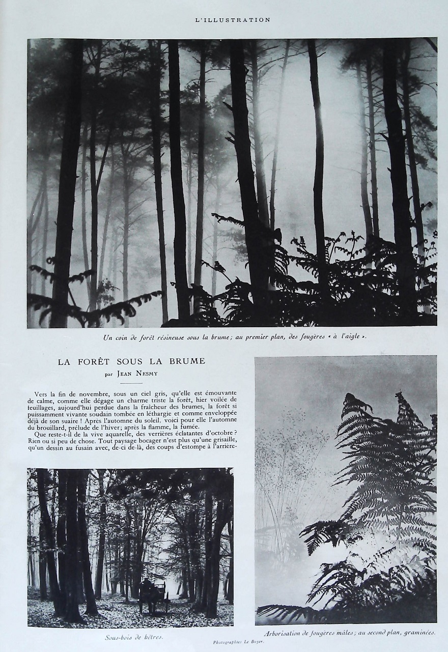 L'Illustration 4844 - 4 janvier 1936 21