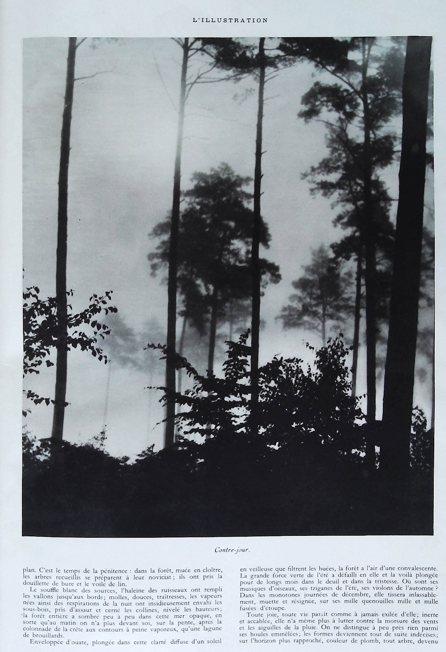 L'Illustration 4844 - 4 janvier 1936 22